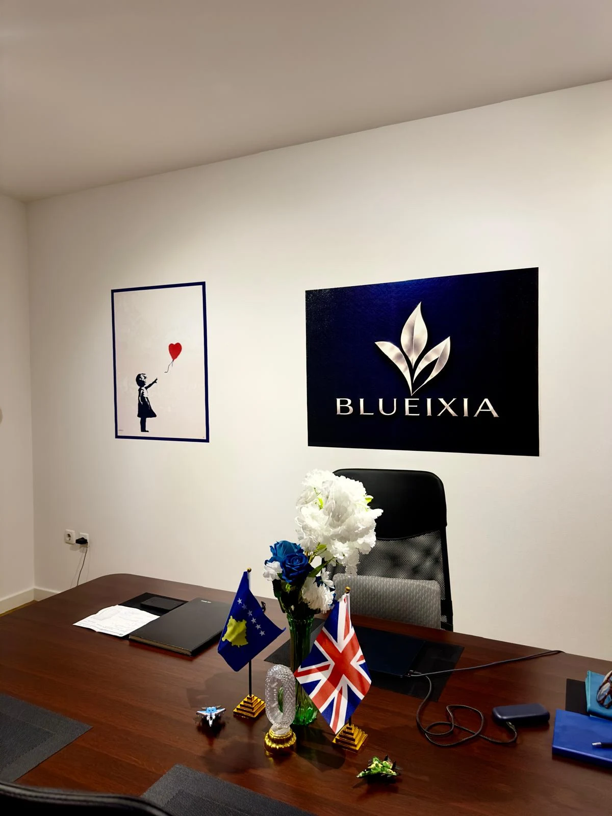 Zyra BlueIxia me grafikën e identitetit, art floral dhe veprën me tullumbace të kuqe.